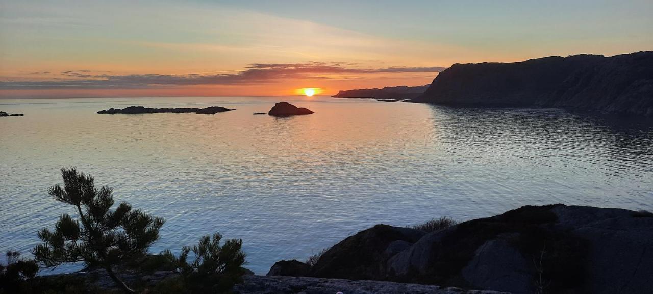 Jossingfjord Bed & Breakfast ซงดาล ภายนอก รูปภาพ